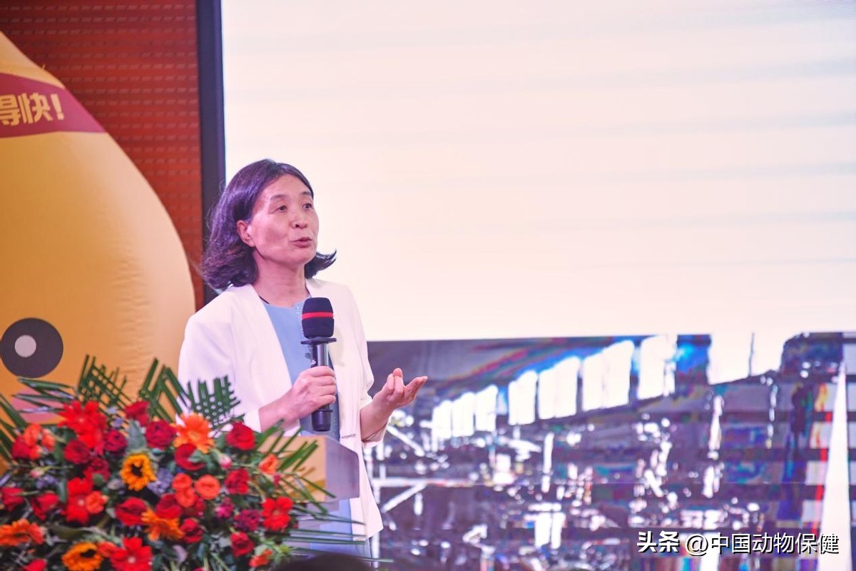 富油型康利中兽药,新康利