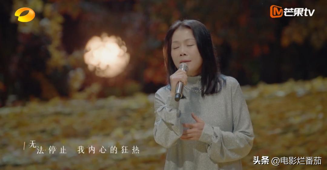 湖南台最近的综艺节目有哪些,湖南台的最新一期节目