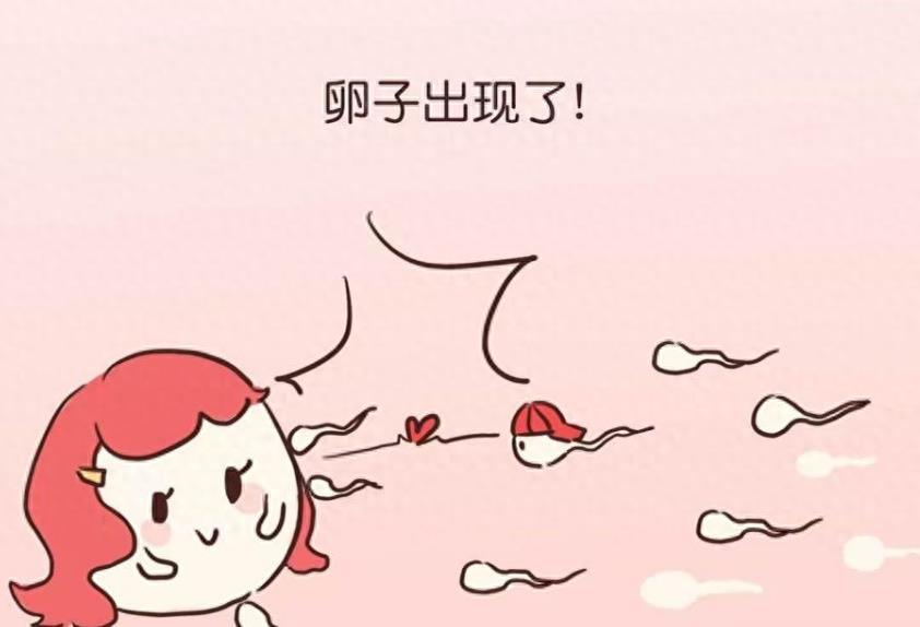 失落的小勇士们,踏上了怀孕之路