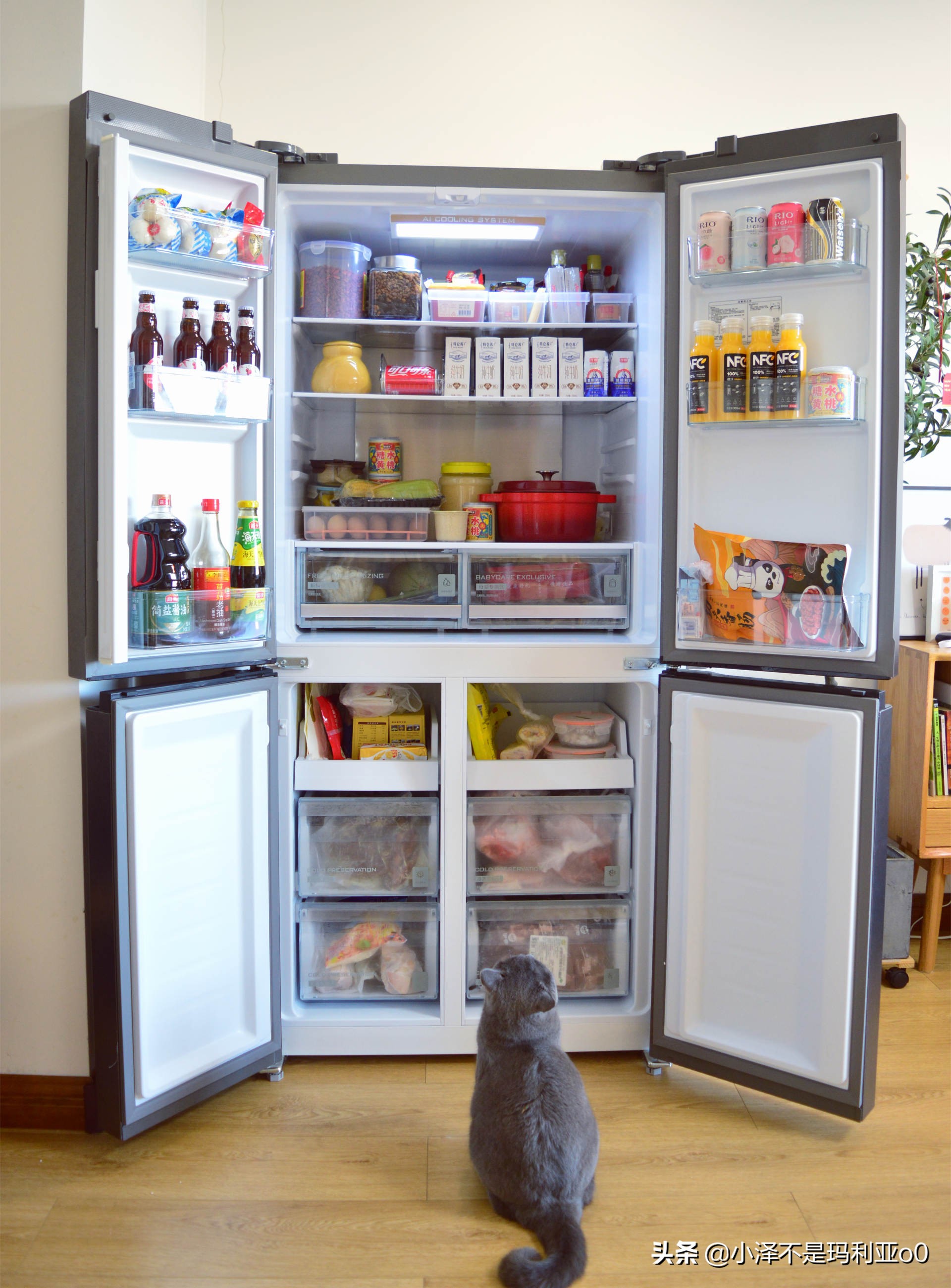 冰箱选购指南购买冰箱的最佳方法,买冰箱要怎么选购性价比最高