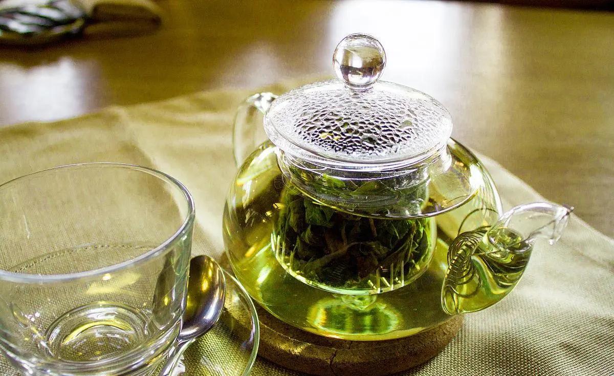 茶多酚会危害胃吗,茶多酚危害研究