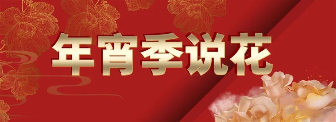 网上买的花种子靠谱么,网上买的花种子假的