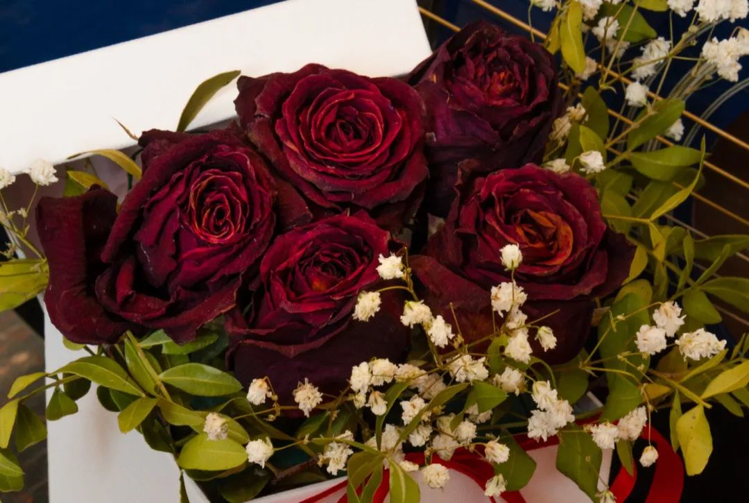 意大利语告白情话大全 (意大利语浪漫短句情话)