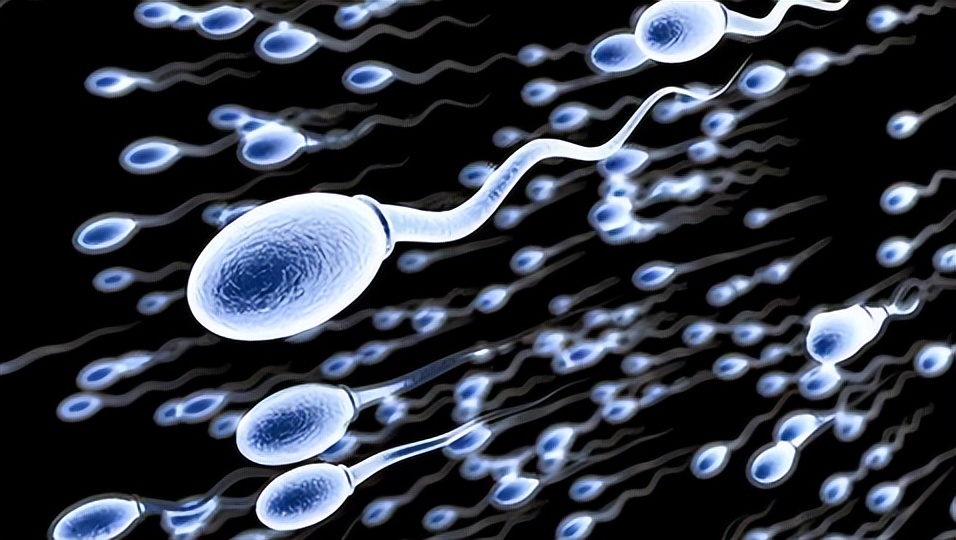 治疗男性精子活力的中药配方,提高精子活性的药治早泄吗