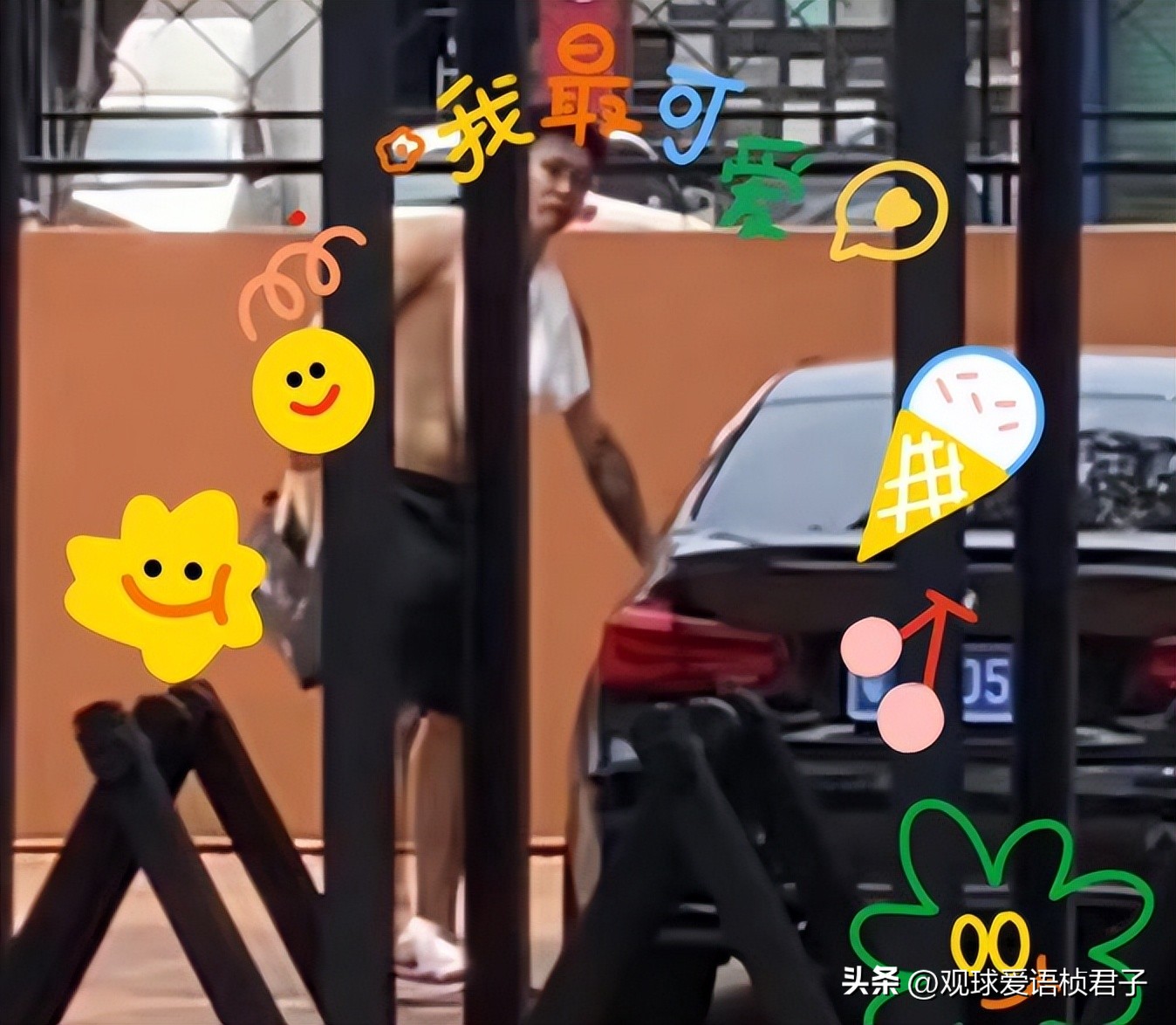 山东男篮马布里,马布里引援赵睿