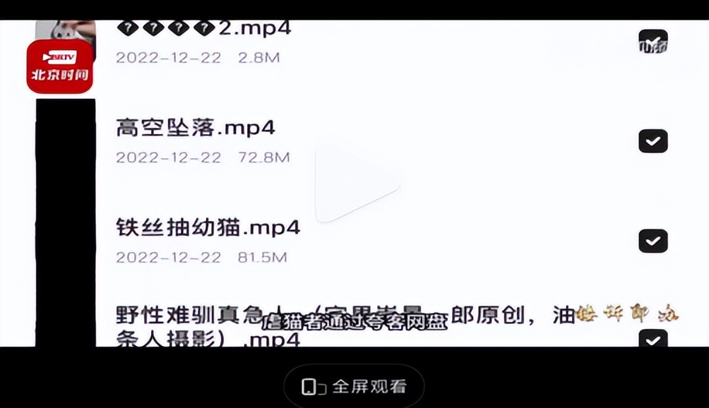 虐猫群体处理,虐猫行为越来越严重