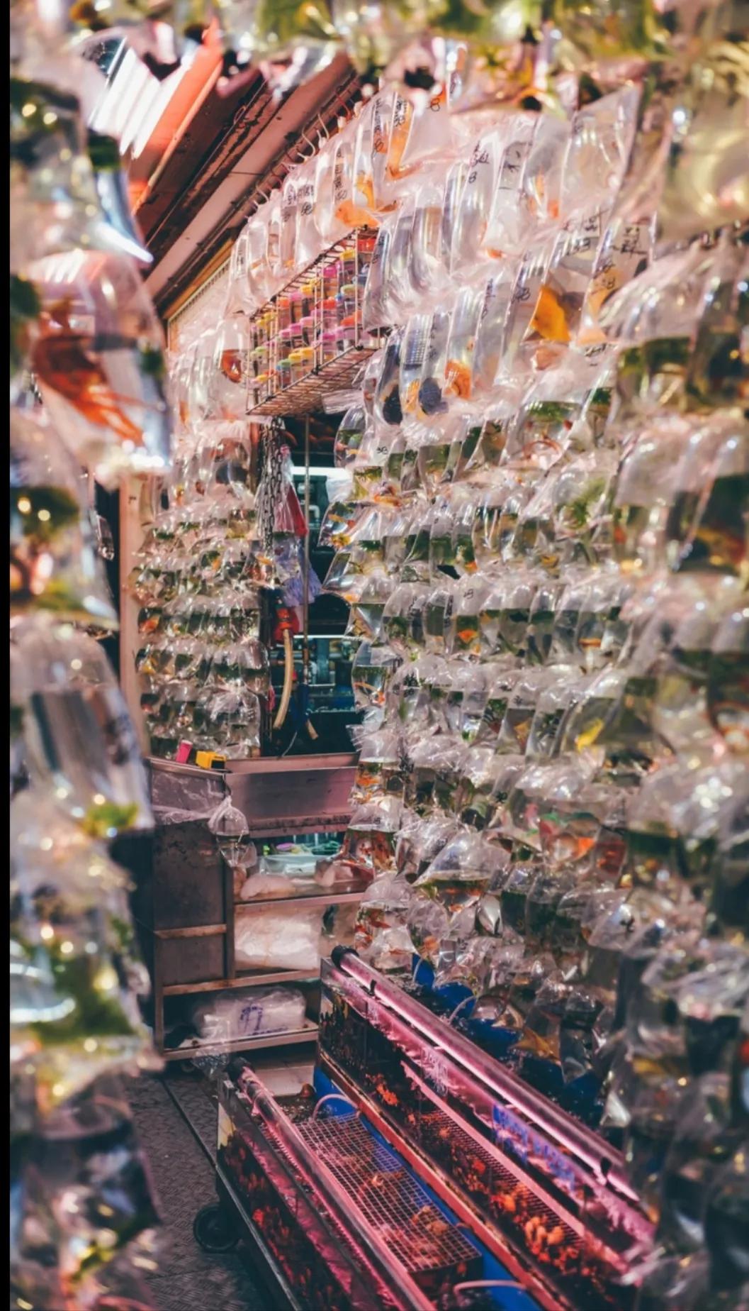 香港区旺角“散步篇”