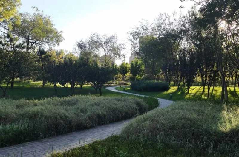 中国自然资源作家协会副主席赵腊平：小公园、大乾坤的百子湾公园