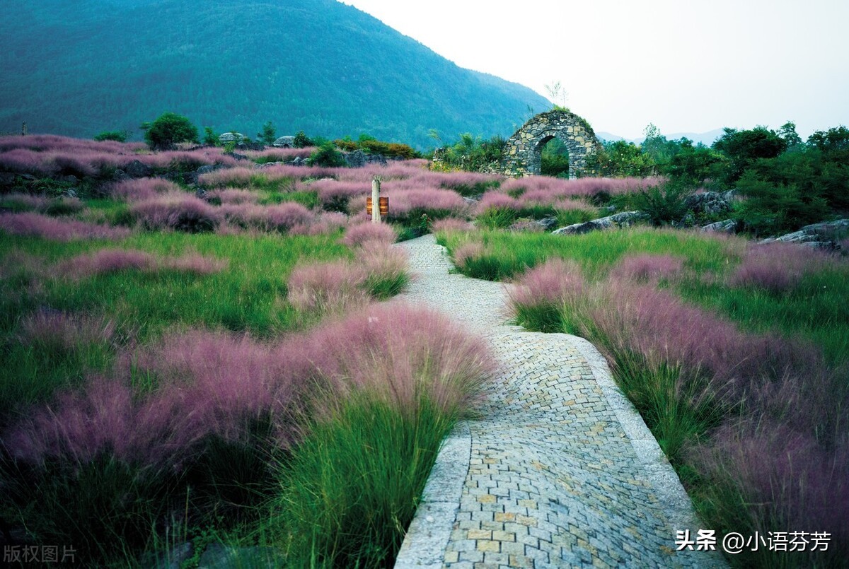诗经郑风女曰鸡鸣吟唱,诗经郑风女曰鸡鸣吟诵视频