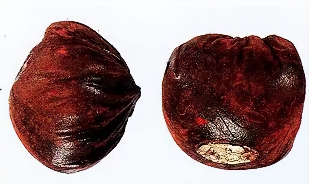 龙血竭和血竭哪个贵,皇冠血竭是龙血竭吗