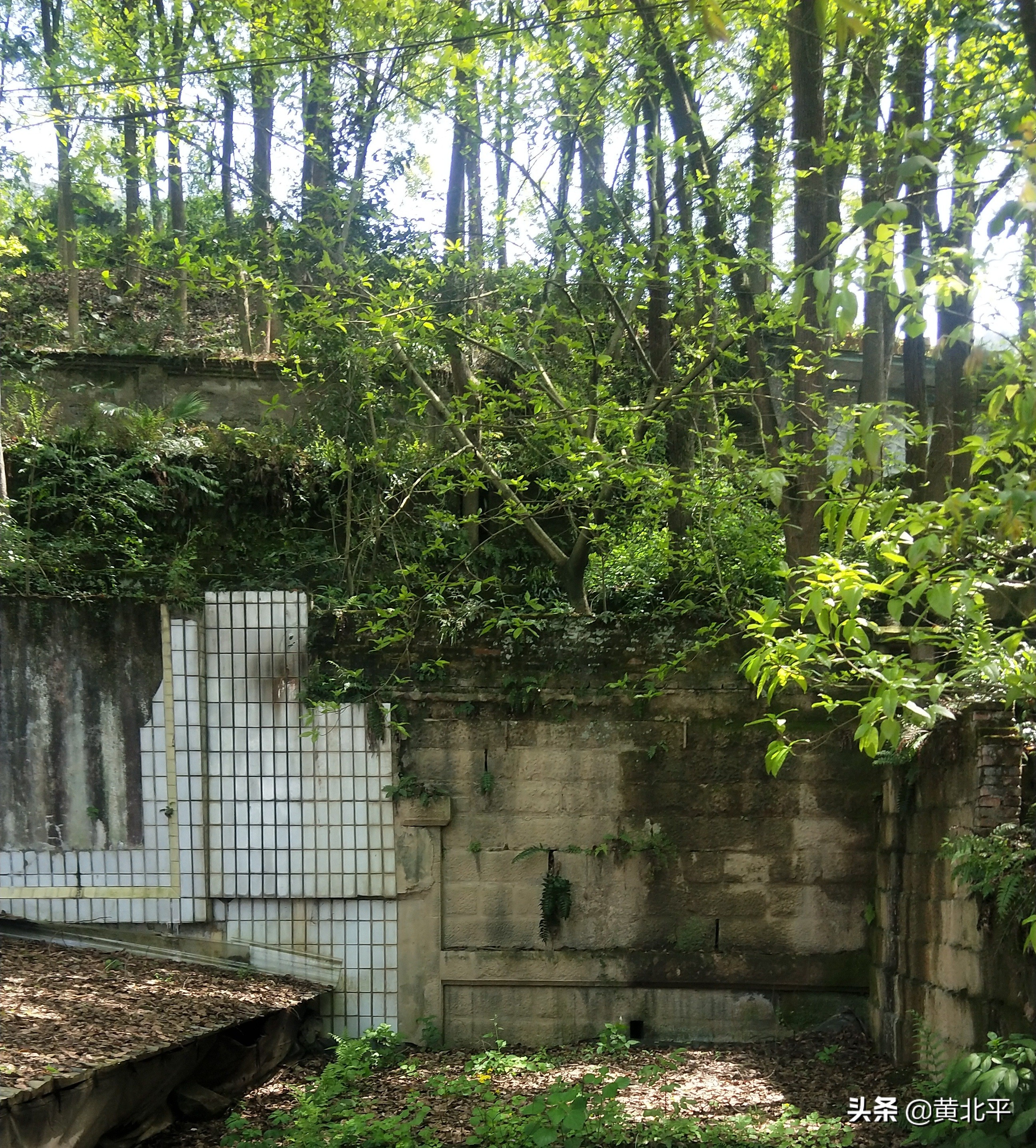 北碚刘家沟煤矿,天府矿务局刘家沟煤矿历史