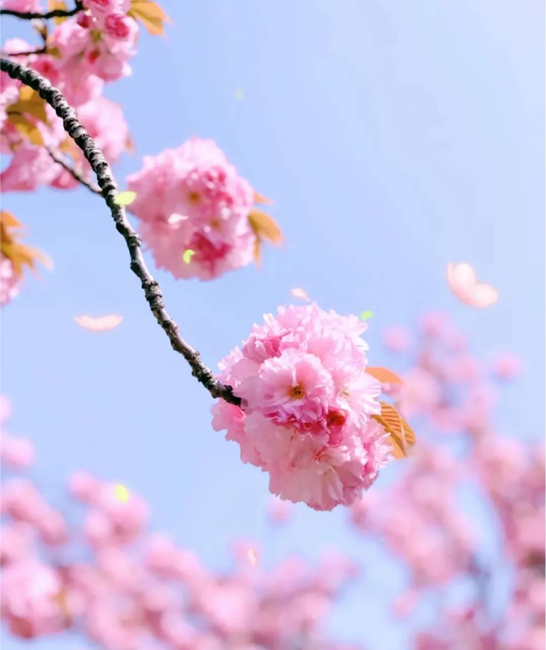 恋爱靠感觉 (爱情靠幻想结婚靠合适)