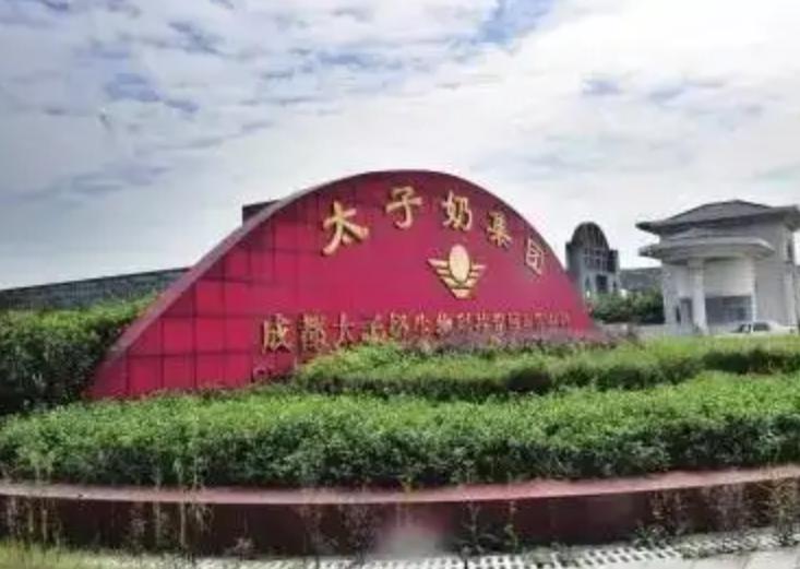 花8千多万成为标王，娶美女主持人回家，半年进账12亿却一败涂地