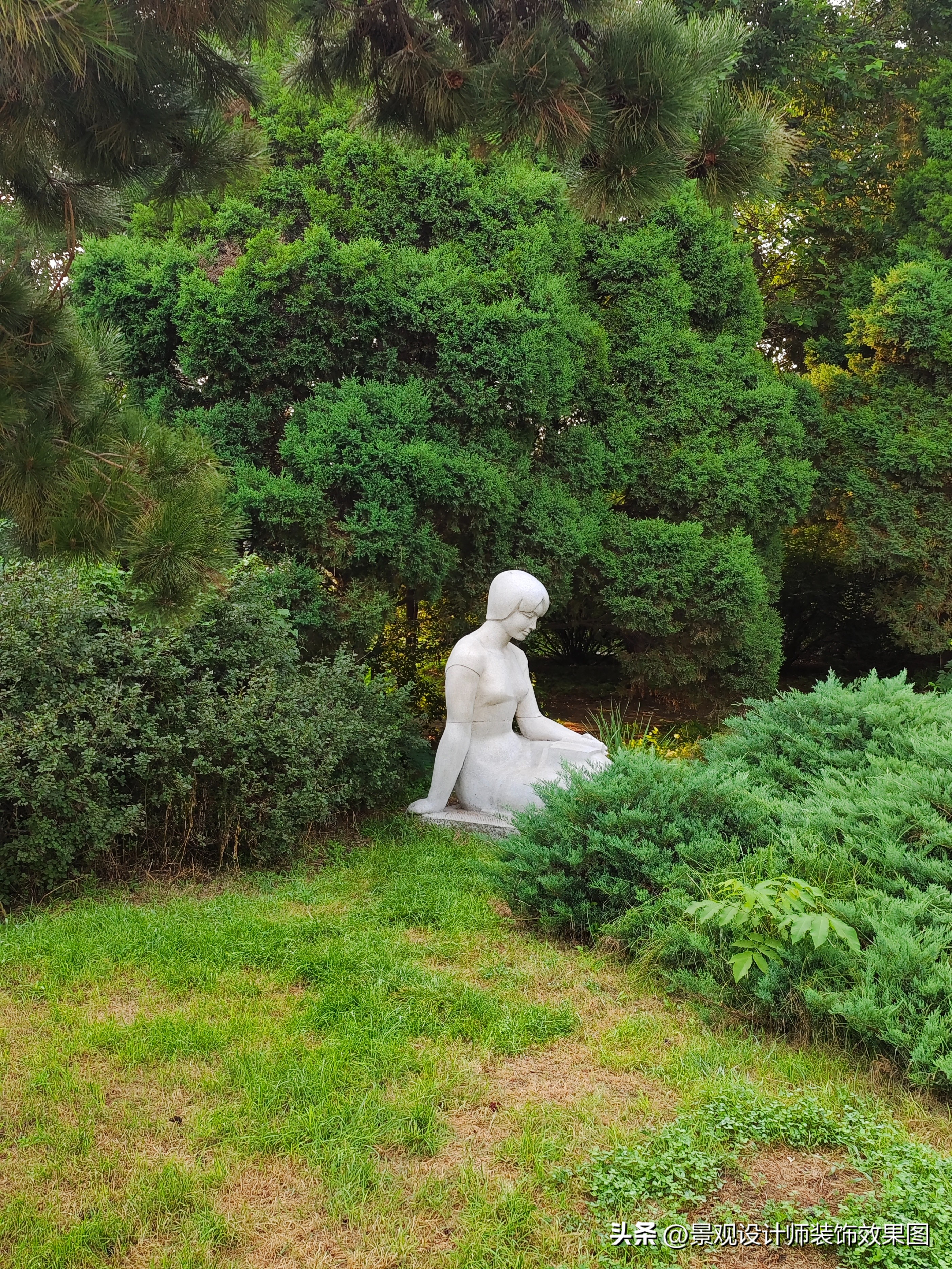 沈阳青年公园所在地,沈阳青年公园