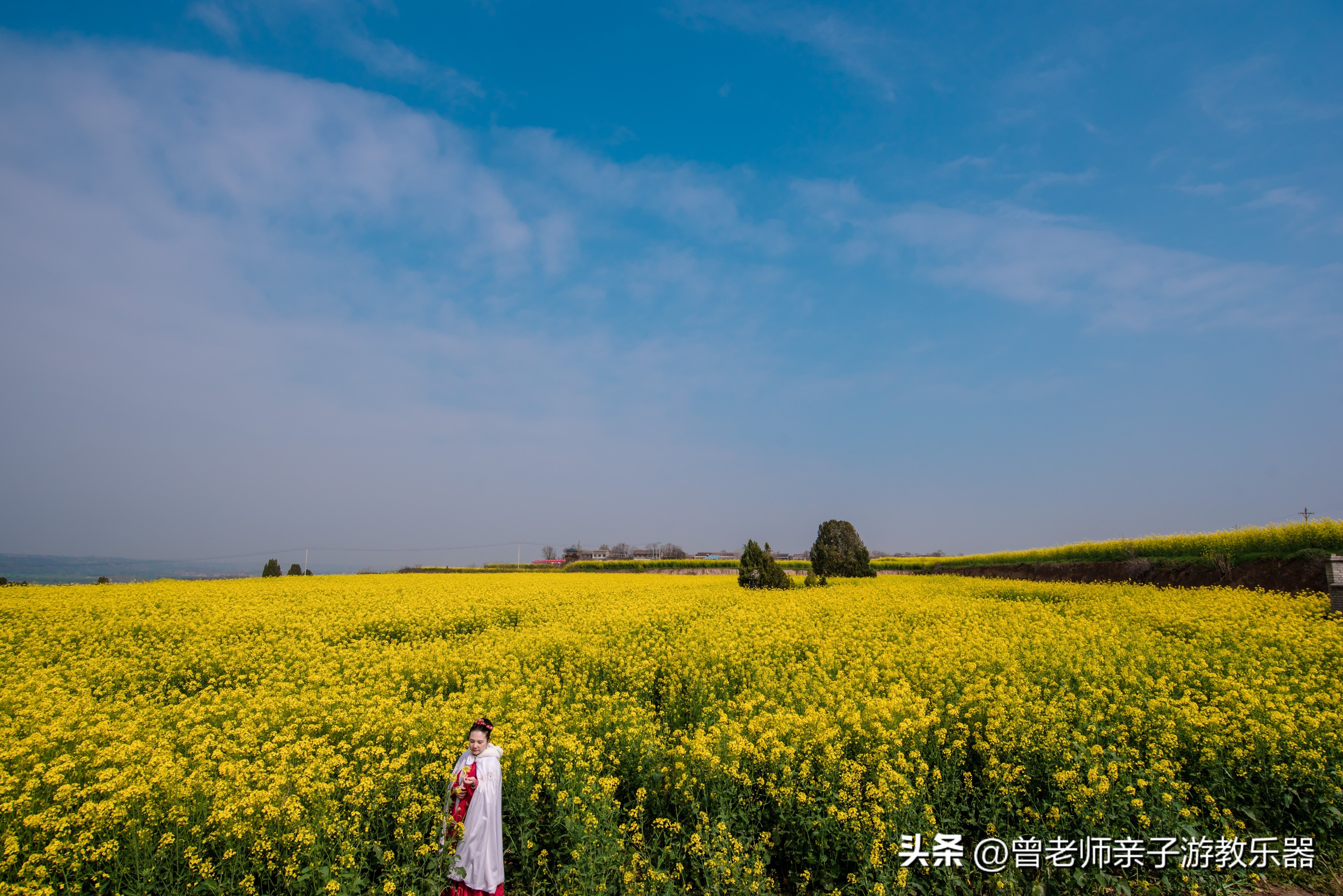 西安油菜花花海,西安看油菜花的地方都有哪些景点