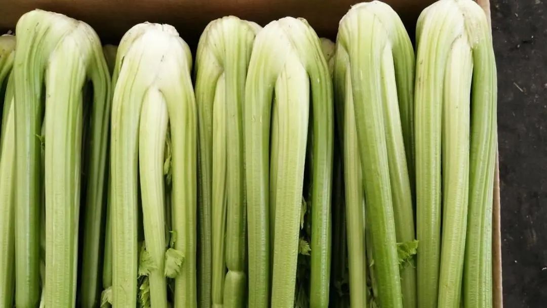 中国品牌博览会河南展区,河南省十大农产品品牌