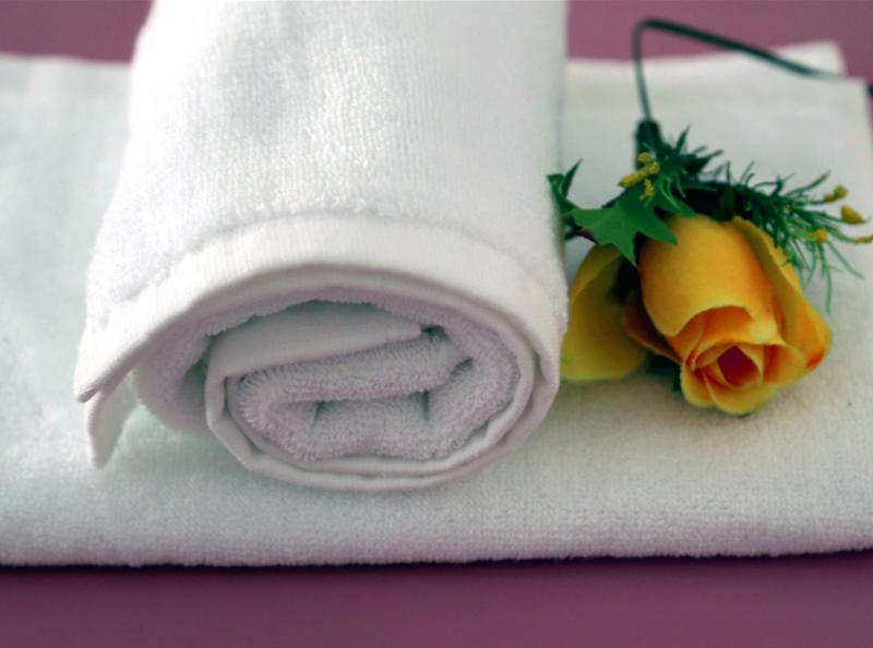 女子腹部痒，医生用镊子夹出16只阴虱！原来阴虱有4个传播途径