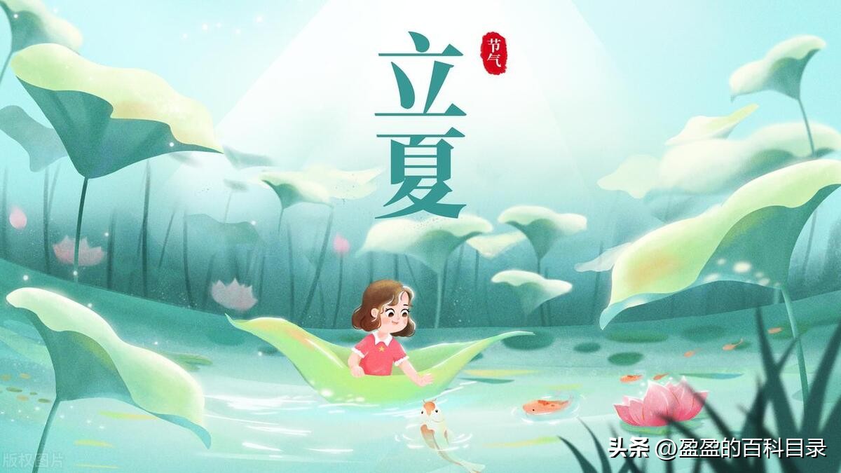 立夏第一天注意什么,立夏后注意事项与养生