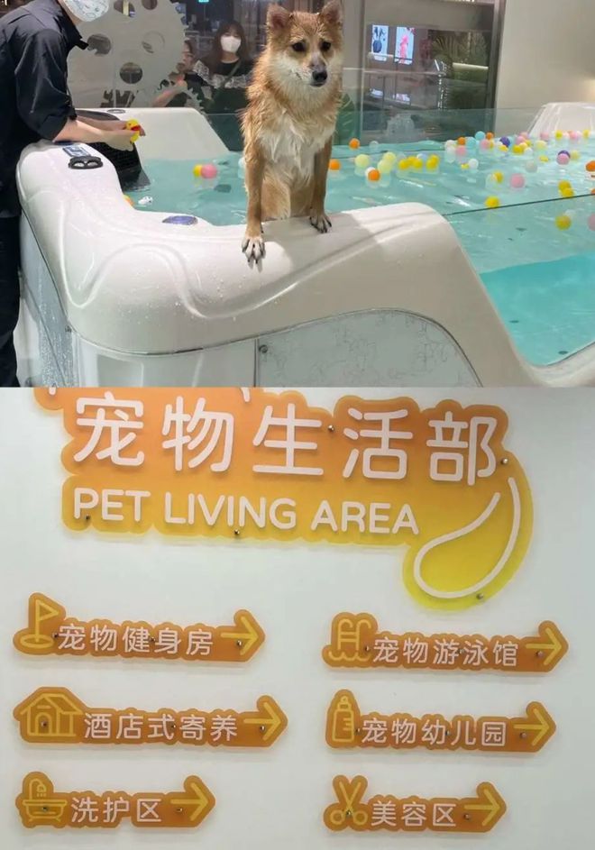 “宠物友好”，“真香”还是“虚火”？