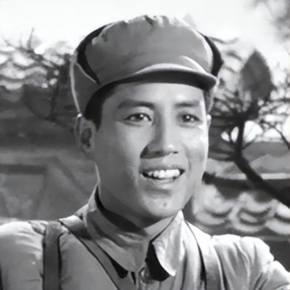 关于革命的小说红日简介,长篇小说红日沈振新的原型是谁