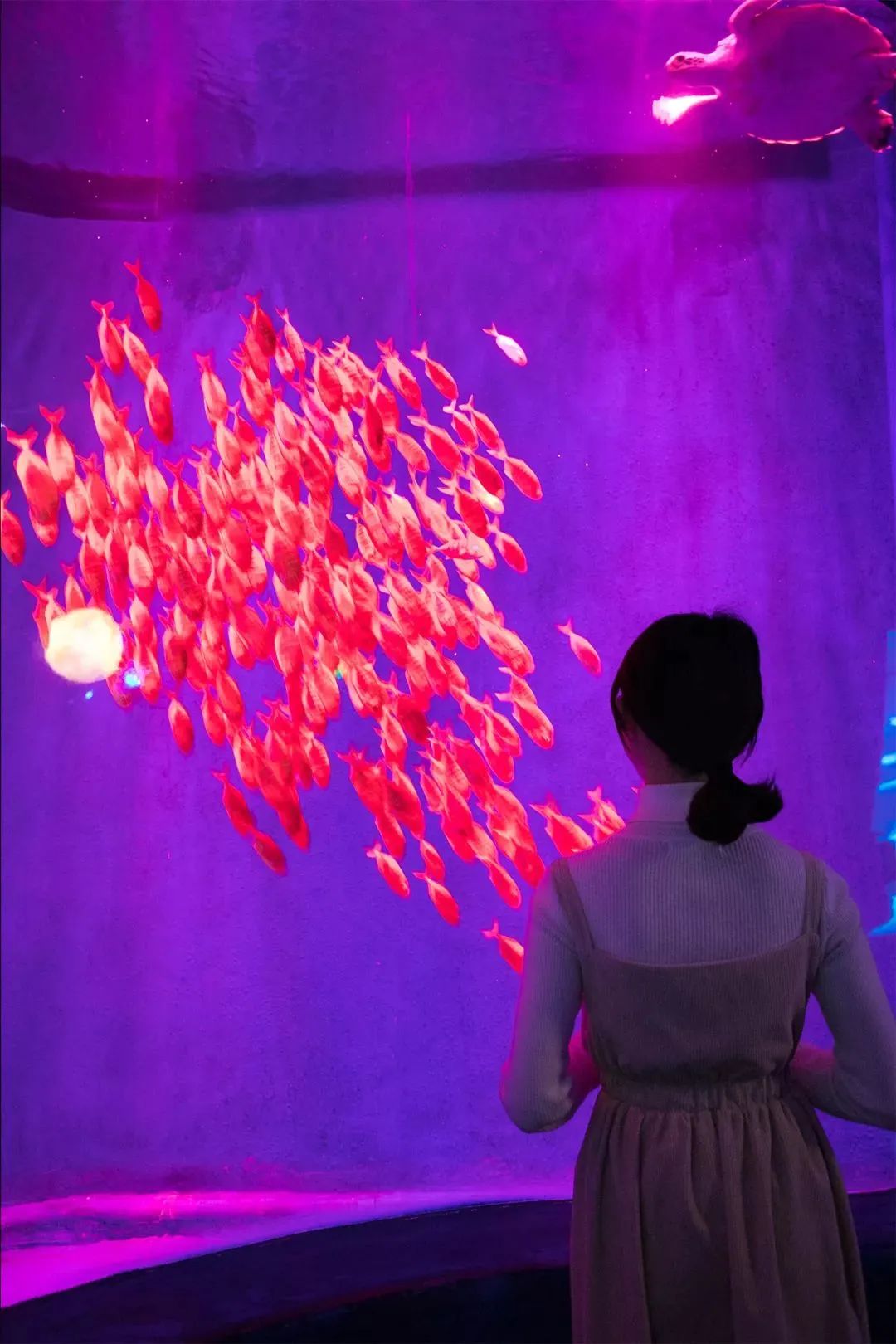 深圳小众好玩的景点排名榜,深圳小众海边旅游