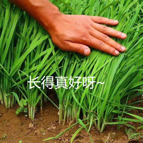 创业领域和创业项目的选择,创业就没成功过还适合创业吗