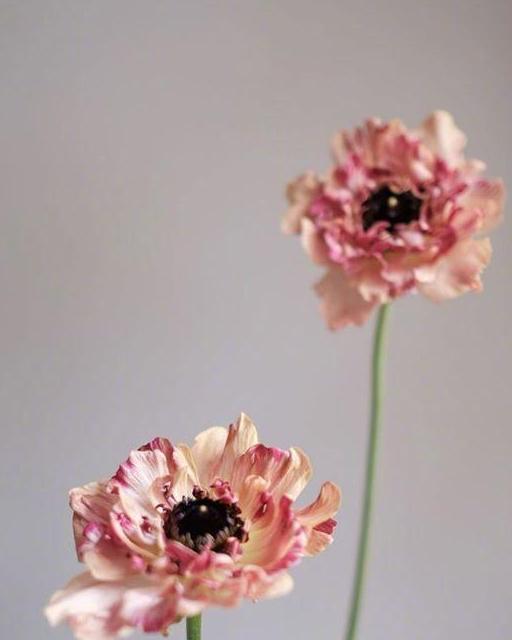 走到哪里都是气氛组,走到哪里都是一个人习惯了孤独