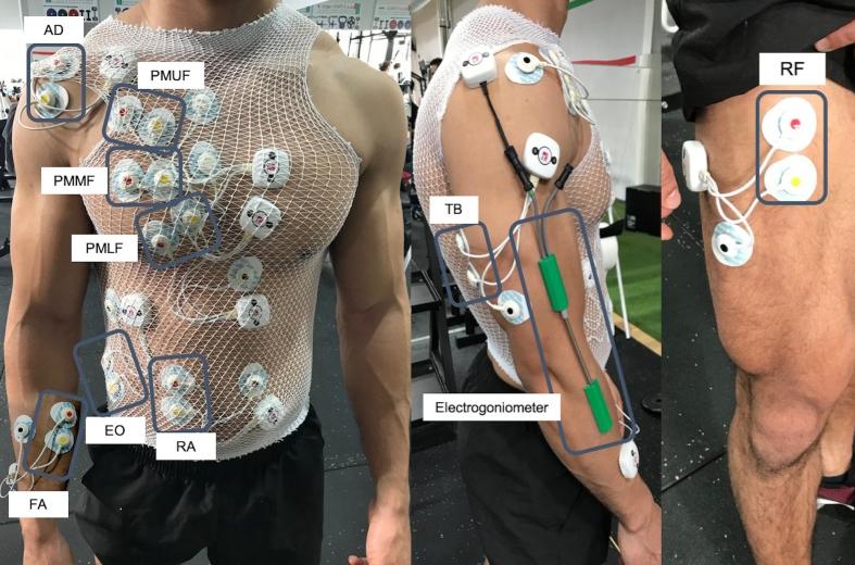 卧推力量停滞不前,卧推力量减少怎么办