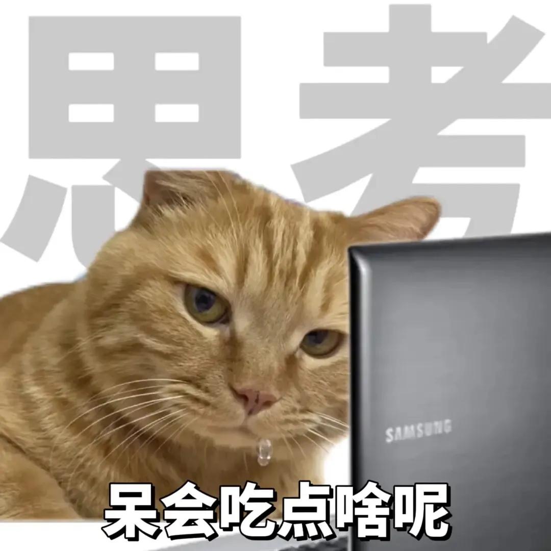 上班的我下班的我表情包,上班与下班的区别表情包