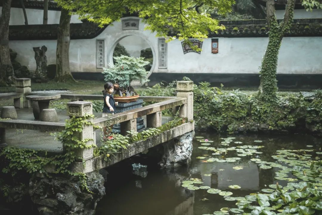 浙江十大公路自驾,浙江神仙居自驾游2-3天推荐