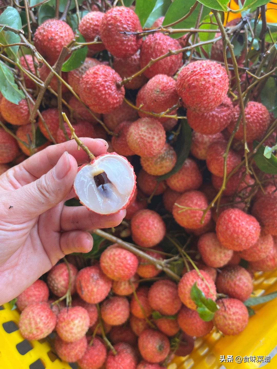 妃子笑是荔枝最好吃的品种吗,妃子笑荔枝有几种品种