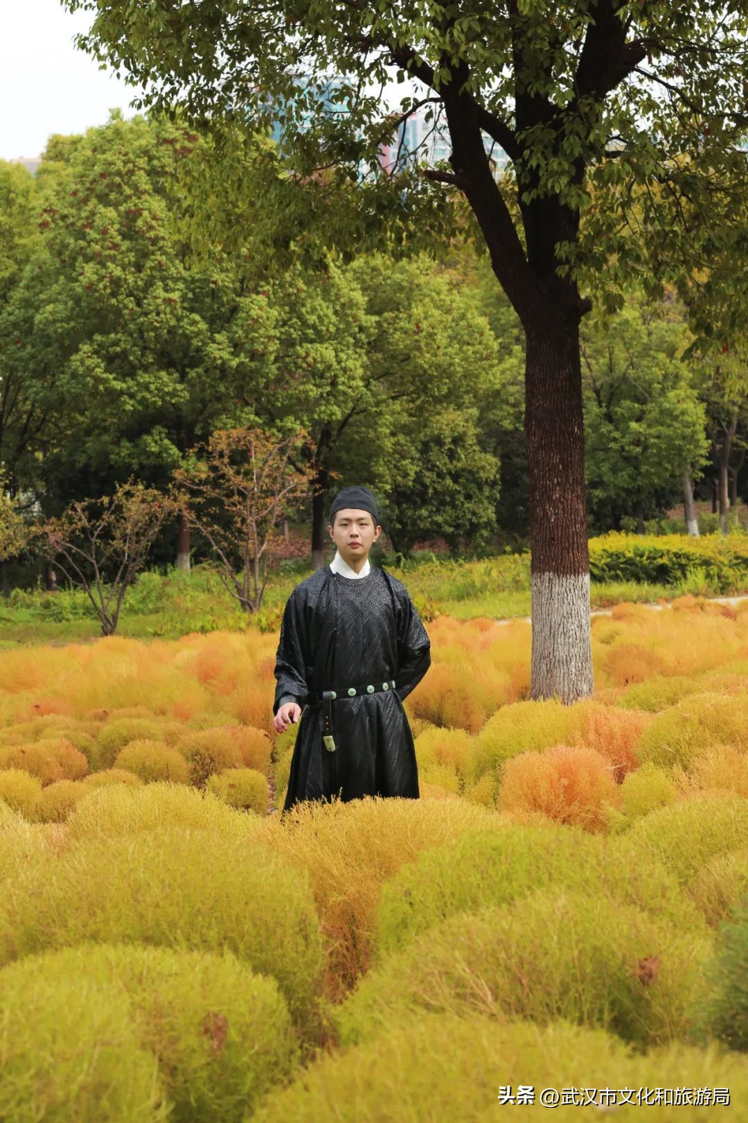 秋天的公园像一幅美丽的油画,园博园油画