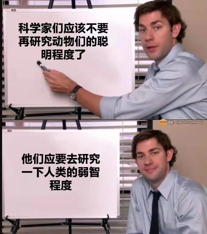 等了三年终于满血复活,等了三年游戏