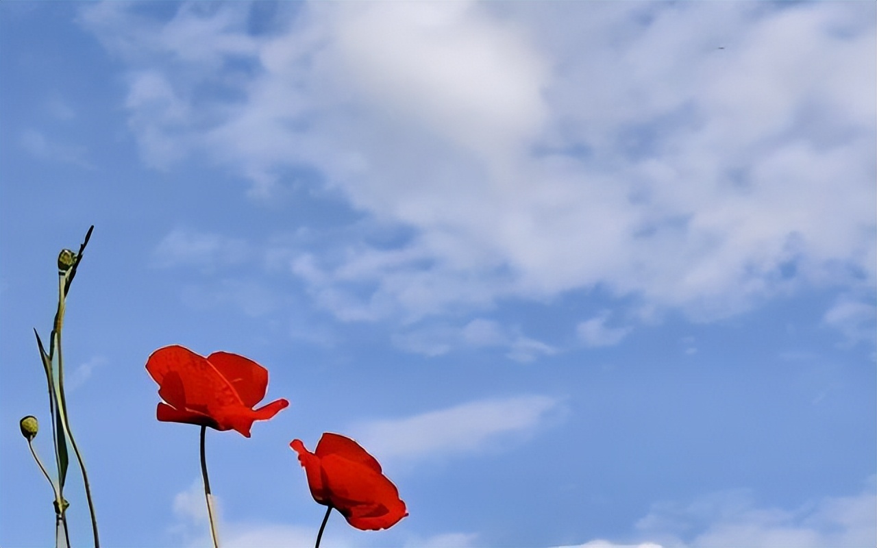 情人相处如何才能长久,情人相处怎么样才不累