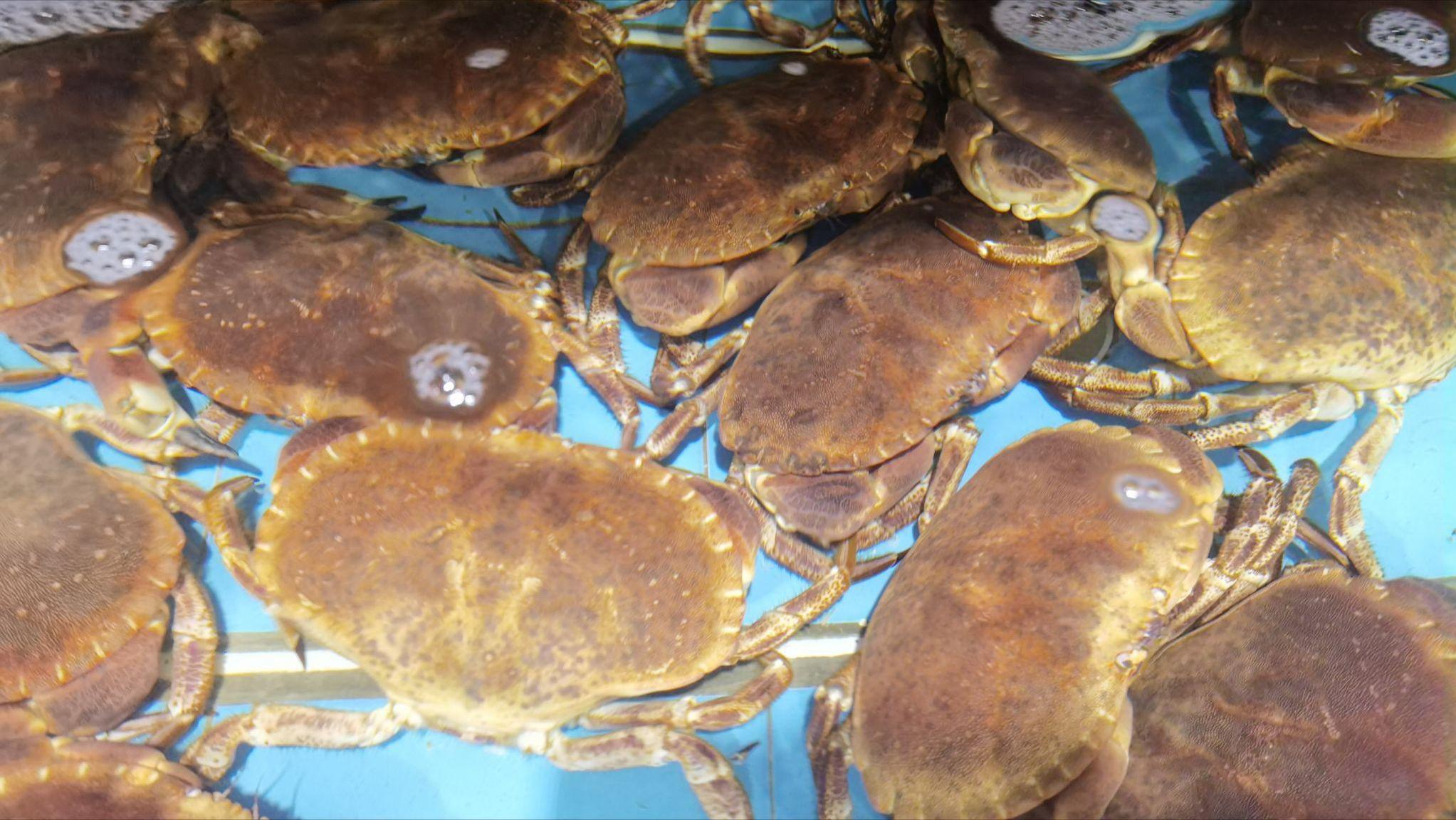 如何做好水产海鲜生意,海鲜店开店流程及费用