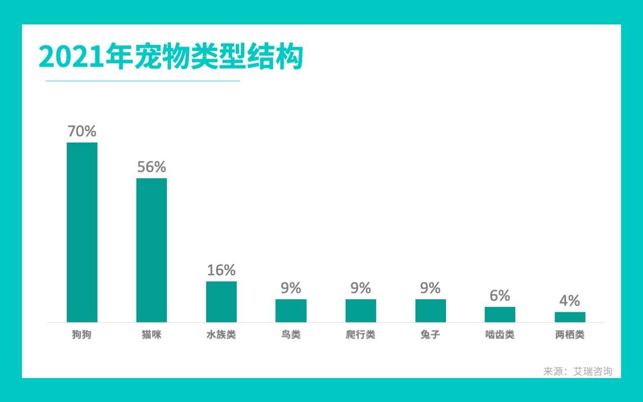 千亿市场、月薪过万,宠物美容是个暴利的好差事?