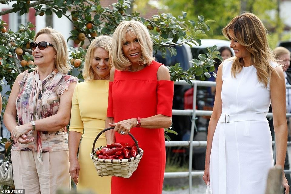 布丽吉特与马克龙相差几岁,布丽吉特整容成功了吗