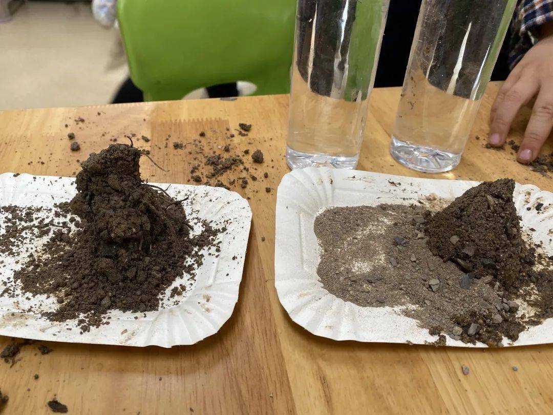 科学探索幼儿园小实验,建德诺亚舟幼儿园