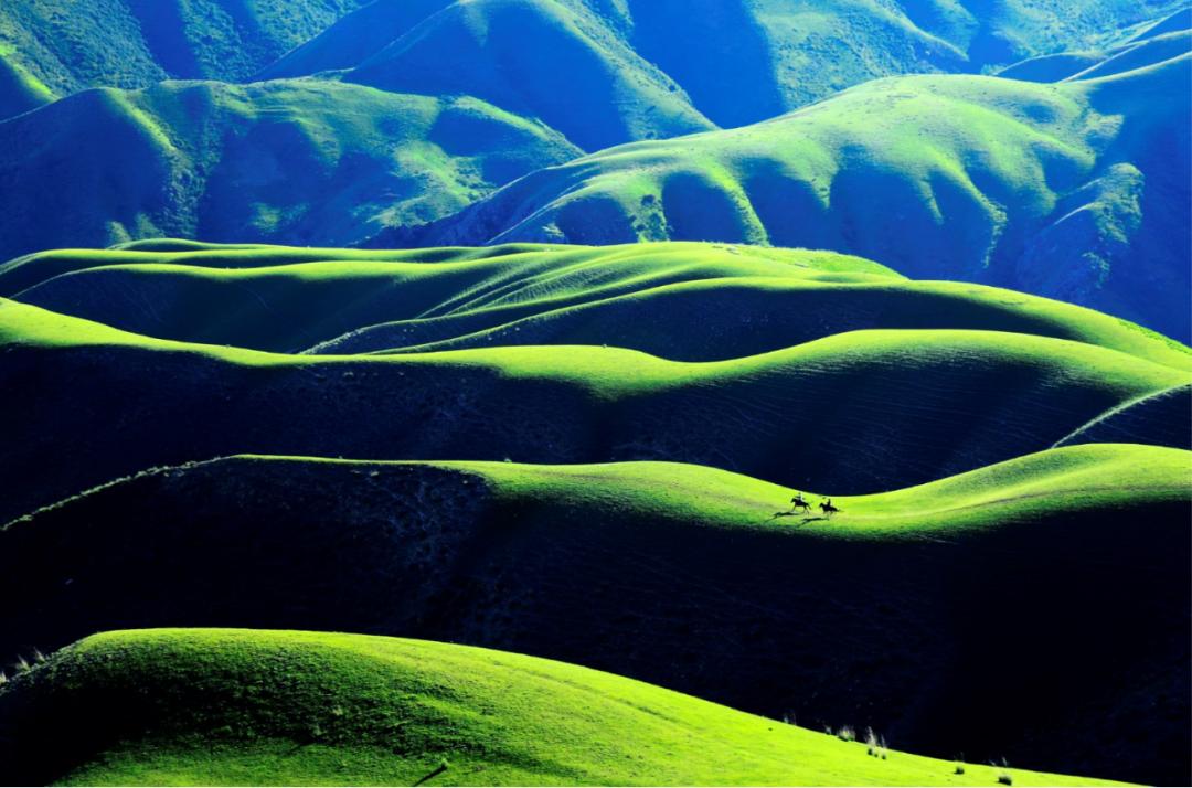 最美的江南风景,中国最美的景色在北疆和川西