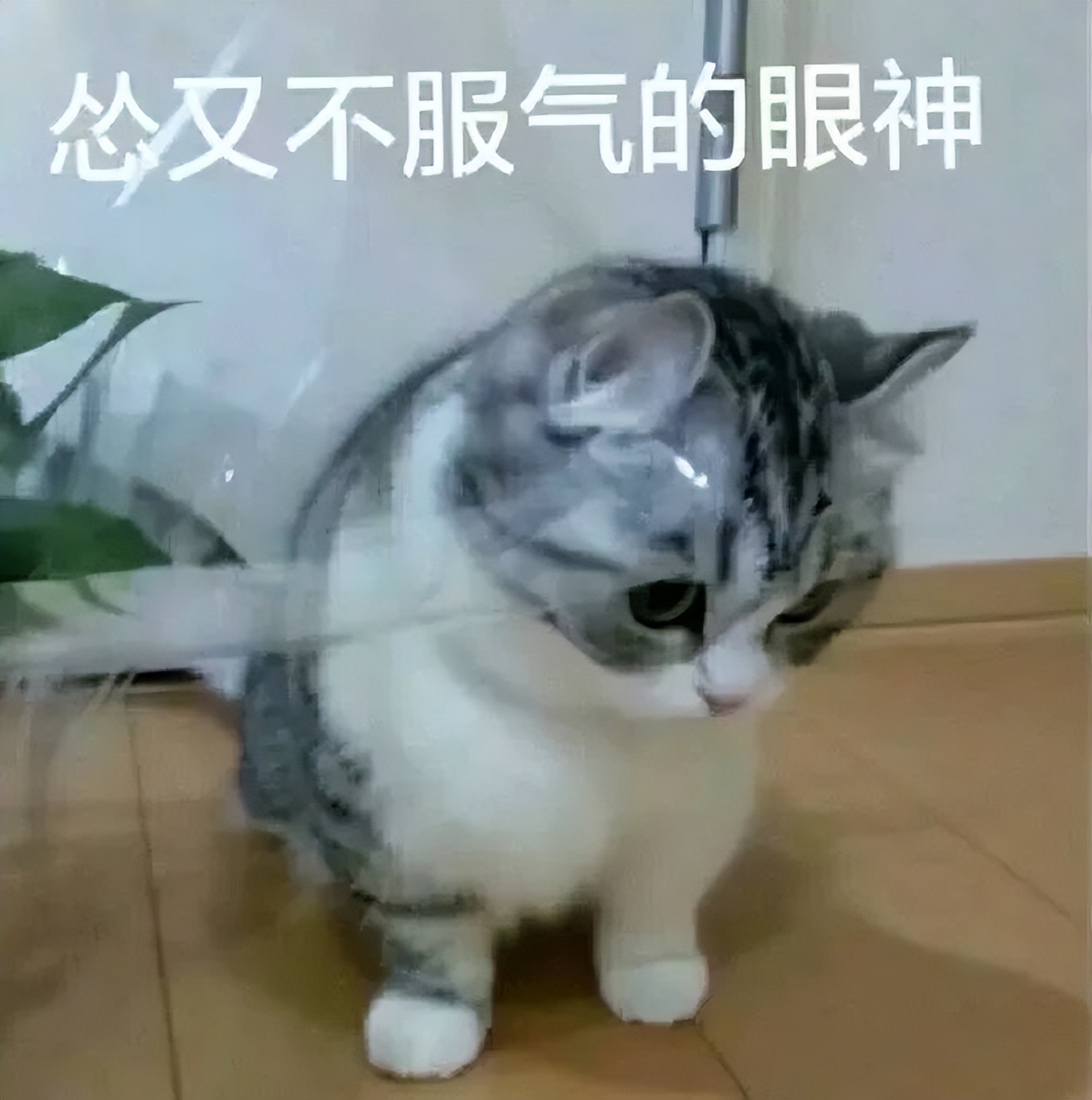 即将要发布的安卓平板,安卓即将要发布的平板