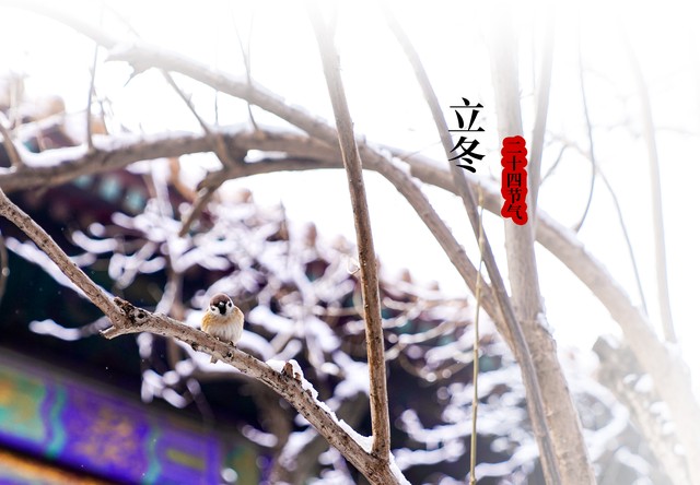 农历就是阴历吗公历就是阳历吗,公历农历阴历阳历它们的区别在哪