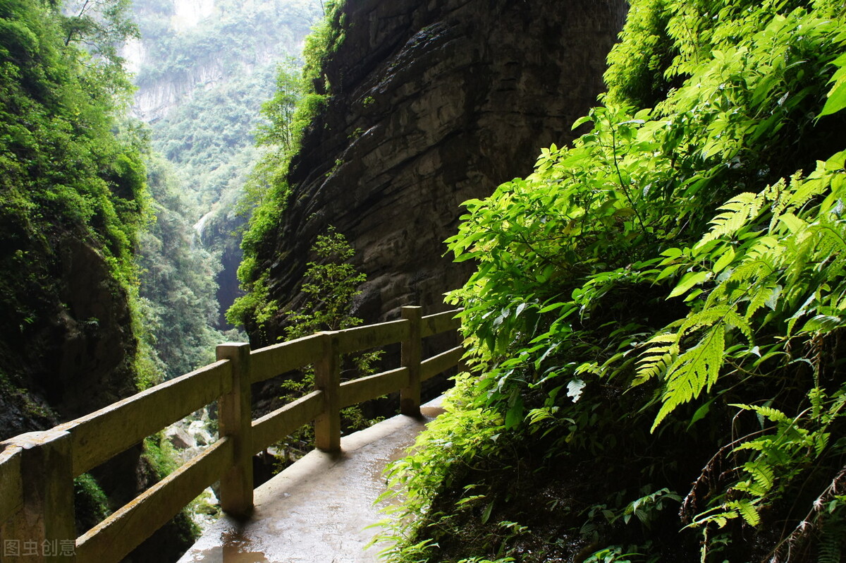 重庆武隆一日游最佳攻略,重庆到武隆两日游跟团