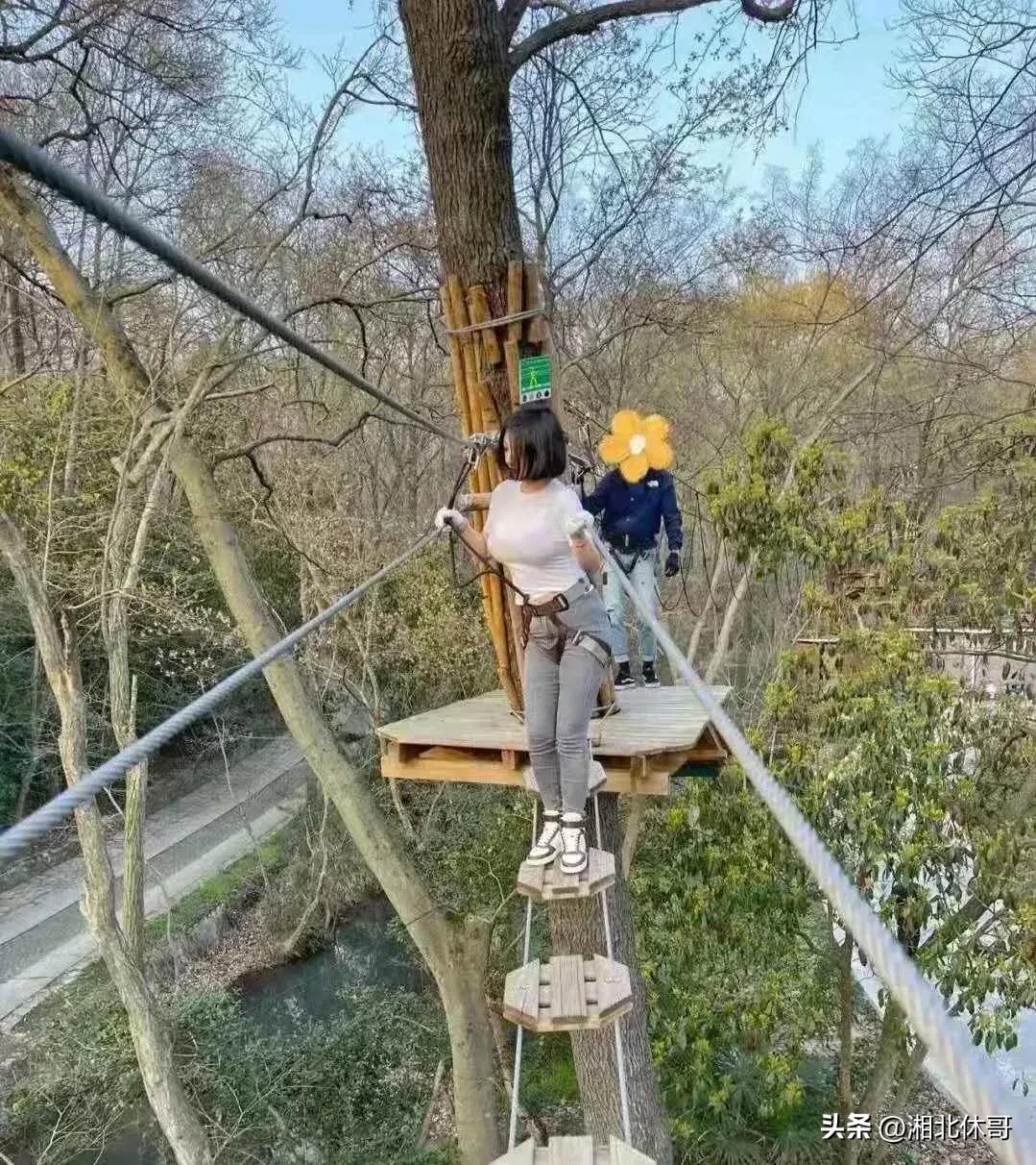 暴发户的一天（我的朋友）