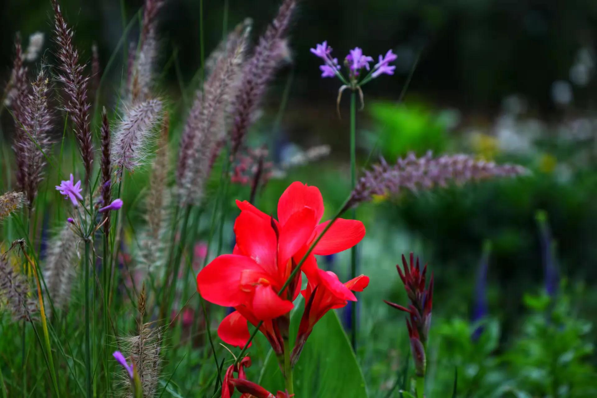 怎么找到产品代理商,产品不合格找代理商还是厂家