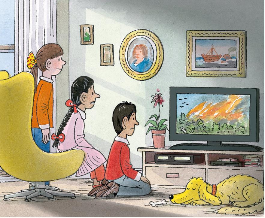 牛津阅读树适合启蒙,bushfire牛津绘本