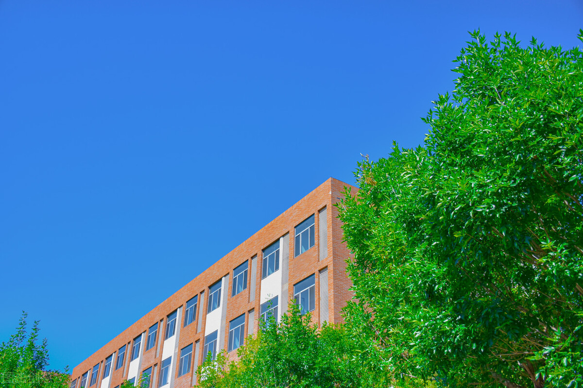 海河教育园湿地公园11月份,海河教育园区湿地公园国庆氛围