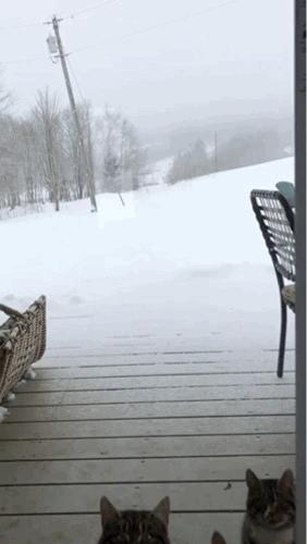 女孩子看见照片后就发个哈哈哈,姑娘不是什么照片都能随便发的