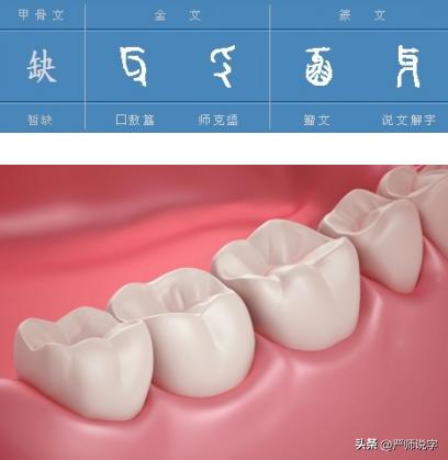 第三章：汉字的偏旁部首通解：横区（36-40）