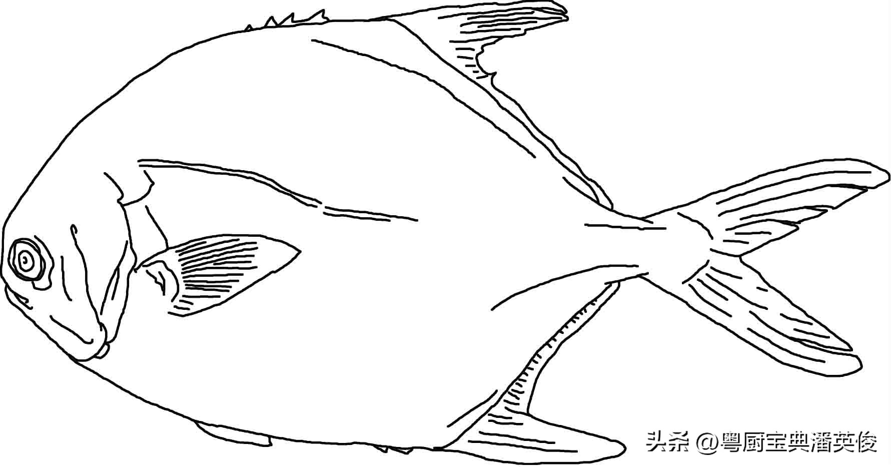 食材知识学习,食材知识视频教程