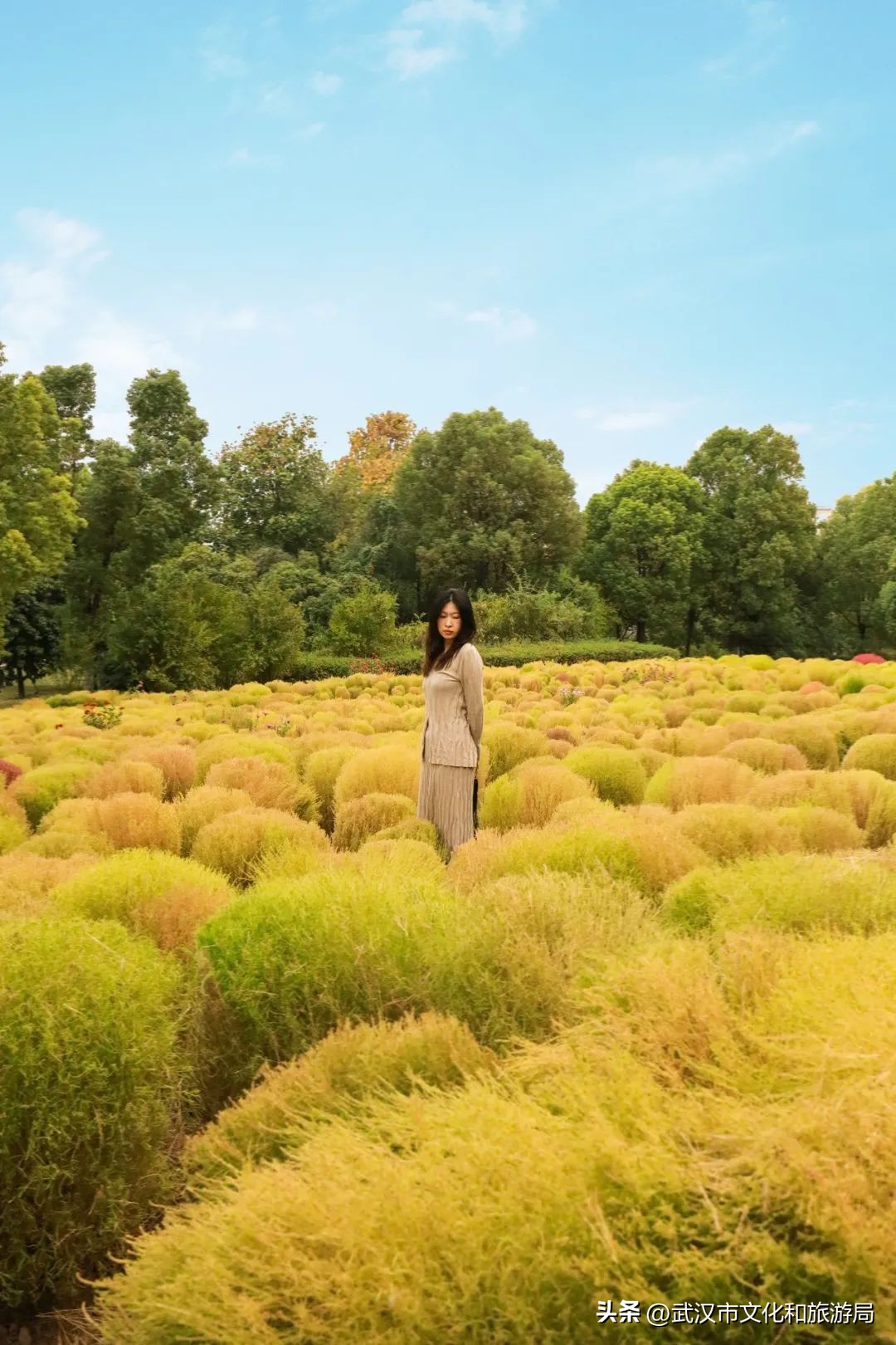 秋天的公园像一幅美丽的油画,园博园油画